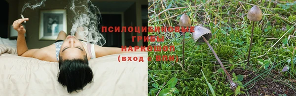 мет Нефтегорск