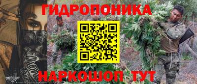 крисы Балаково