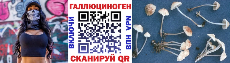 Галлюциногенные грибы ЛСД Кириши