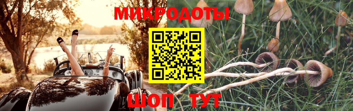 Галлюциногенные грибы мухоморы  Псилоцибиновые грибы ЛСД  Кириши  Вход с VPN 