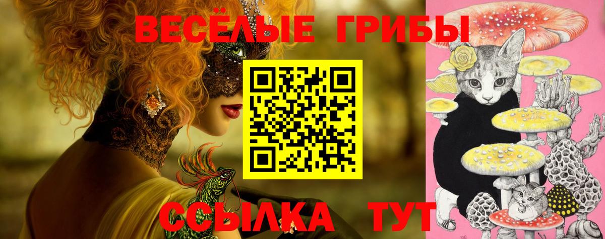 Галлюциногенные грибы Magic Shrooms Кириши