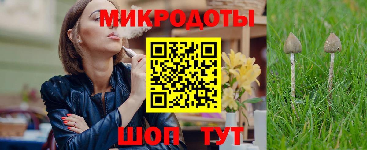 Галлюциногенные грибы Psilocybe  Галлюциногенные грибы ЛСД  Кириши 